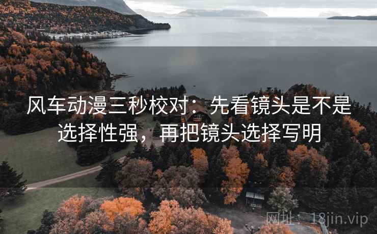 风车动漫三秒校对:先看镜头是不是选择性强,再把镜头选择写明 第2张 风车动漫三秒校对:先看镜头是不是选择性强,再把镜头选择写明 第2张